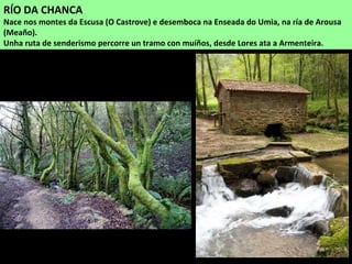 RÍO DA CHANCA
Nace nos montes da Escusa (O Castrove) e desemboca na Enseada do Umia, na ría de Arousa
(Meaño).
Unha ruta de senderismo percorre un tramo con muíños, desde Lores ata a Armenteira.
 