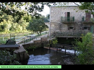 Centro de Control e recuperación no Couto de Pesca de Ximonde, en Vedra
 