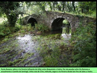 Ponte Buxaca, sobre o río Pereiro (afluente do Ulla), entre Boqueixón e Vedra. Por ela pasaba unha Via Romana e
actualmente o Camiño de Santiago. Unha ruta de 5 km, indicada, segue o río Pereiro desde San Fins de Sales a Vedra.
 