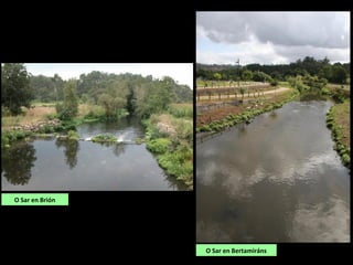 O Sar en Brión
O Sar en Bertamiráns
 