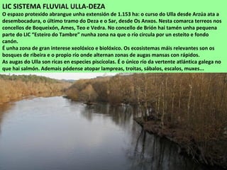 LIC SISTEMA FLUVIAL ULLA-DEZA
O espazo protexido abrangue unha extensión de 1.153 ha: o curso do Ulla desde Arzúa ata a
desembocadura, o último tramo do Deza e o Sar, desde Os Anxos. Nesta comarca terreos nos
concellos de Boqueixón, Ames, Teo e Vedra. No concello de Brión hai tamén unha pequena
parte do LIC “Esteiro do Tambre” nunha zona na que o río circula por un esteito e fondo
canón.
É unha zona de gran interese xeolóxico e biolóxico. Os ecosistemas máis relevantes son os
bosques de ribeira e o propio río onde alternan zonas de augas mansas con rápidos.
As augas do Ulla son ricas en especies piscícolas. É o único río da vertente atlántica galega no
que hai salmón. Ademais pódense atopar lampreas, troitas, sábalos, escalos, muxes...
 