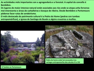 Pedra do home onde hai escavados tres
sartegos antropomorfos dos séculos IV a VIII
As actividades máis importantes son a agrogandaría e a forestal. A capital do concello é
Bembibre.
Os lugares de maior interese natural están asociados aos ríos onde se atopa unha fervenza
moi interesenta e áreas de carballeiras e bosque de ribeira. Desde Bembibre e Portomouro
pódense facer rutas de sendeirismo.
O máis destacado do patrimonio cultural é a Pedra do Home (pedras con tumbas
antropomórficas), a igrexa de Santiago de Buxán e algúns cruceiros e muíños.
O Tambre en Portomouro
 