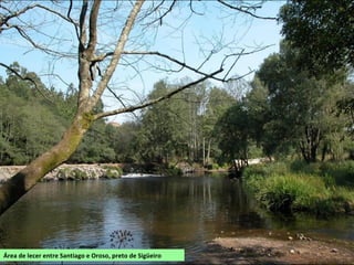 Área de lecer entre Santiago e Oroso, preto de Sigüeiro
 