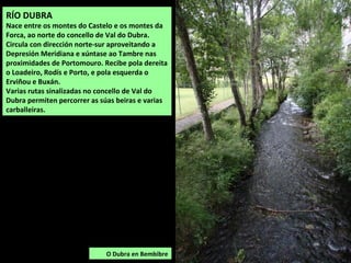 O Dubra en Bembibre
RÍO DUBRA
Nace entre os montes do Castelo e os montes da
Forca, ao norte do concello de Val do Dubra.
Circula con dirección norte-sur aproveitando a
Depresión Meridiana e xúntase ao Tambre nas
proximidades de Portomouro. Recibe pola dereita
o Loadeiro, Rodís e Porto, e pola esquerda o
Erviñou e Buxán.
Varias rutas sinalizadas no concello de Val do
Dubra permiten percorrer as súas beiras e varias
carballeiras.
 
