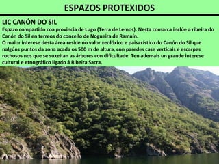 ESPAZOS PROTEXIDOS
LIC CANÓN DO SIL
Espazo compartido coa provincia de Lugo (Terra de Lemos). Nesta comarca inclúe a ribeira do
Canón do Sil en terreos do concello de Nogueira de Ramuín.
O maior interese desta área reside no valor xeolóxico e paisaxístico do Canón do Sil que
nalgúns puntos da zona acada os 500 m de altura, con paredes case verticais e escarpes
rochosos nos que se suxeitan as árbores con dificultade. Ten ademais un grande interese
cultural e etnográfico ligado á Ribeira Sacra.
 