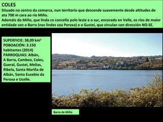 SUPERFICIE: 38,09 km2
POBOACIÓN: 3.150
habitantes (2014)
PARROQUIAS: Albán,
A Barra, Cambeo, Coles,
Gueral, Gustei, Melias,
Ribela, Santa Mariña de
Albán, Santo Eusebio da
Peroxa e Ucelle.
Barra de Miño
COLES
Situado no centro da comarca, nun territorio que descende suavemente desde altitudes de
ata 700 m cara ao río Miño.
Ademáis do Miño, que linda co concello polo leste e o sur, encorado en Velle, os ríos de maior
entidade son o Barra (nos lindes coa Peroxa) e o Gustei, que circulan con dirección NO-SE.
 