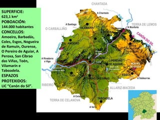 SUPERFICIE:
623,1 km2
POBOACIÓN:
144.000 habitantes
CONCELLOS:
Amoeiro, Barbadás,
Coles, Esgos, Nogueira
de Ramuín, Ourense,
O Pereiro de Aguiar, A
Peroxa, San Cibrao
das Viñas, Toén,
Vilamarín e
Taboadela.
ESPAZOS
PROTEXIDOS:
LIC “Canón do Sil”.
 
