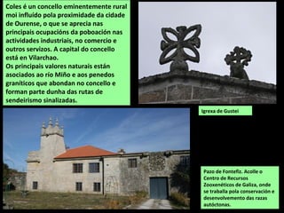Pazo de Fontefiz. Acolle o
Centro de Recursos
Zooxenéticos de Galiza, onde
se traballa pola conservación e
desenvolvemento das razas
autóctonas.
Coles é un concello eminentemente rural
moi influído pola proximidade da cidade
de Ourense, o que se aprecia nas
principais ocupacións da poboación nas
actividades industriais, no comercio e
outros servizos. A capital do concello
está en Vilarchao.
Os principais valores naturais están
asociados ao río Miño e aos penedos
graníticos que abondan no concello e
forman parte dunha das rutas de
sendeirismo sinalizadas.
Igrexa de Gustei
 