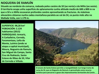 SUPERFICIE: 98,28 km2
POBOACIÓN: 2.124
habitantes (2015)
PARROQUIAS: Armariz,
A Carballeira, Cerreda,
Faramontaos, Loña do
Monte, Luíntra (onde se
atopa a capital municipal),
Moura, Nogueira de Ramuín,
San Miguel do Campo, Santa
Cruz de Rubiacós, Santo
Estevo de Ribas de Sil, Vilar
de Cerreda e Viñoás.
O encoro de Santo Estevo permite a navegabilidade nun longo tramo do
curso do Sil, que en Nogueira de Ramuín é aproveitado como recurso
turístico para percorrer e gozar das impresionantes formacións do Canón.
NOGUEIRA DE RAMUÍN
Situado ao nordeste da comarca, rodeada polos canóns do Sil (ao norte) e do Miño (ao oeste).
O territorio ocupa unha superficie de aplanamento cunha altitude media de 600 a 800 m na
que o Sil e o Miño escavaron profundos canóns aproveitando as fracturas. As máximas
elevacións sitúanse nunha cadea montañosa paralela ao val do Sil, co punto máis alto no
Mallada Vella, con 1.179 m.
 