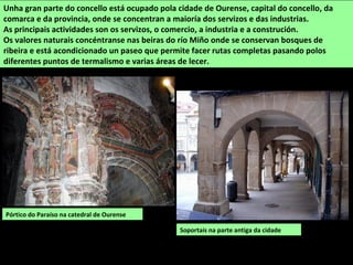Soportais na parte antiga da cidade
Unha gran parte do concello está ocupado pola cidade de Ourense, capital do concello, da
comarca e da provincia, onde se concentran a maioría dos servizos e das industrias.
As principais actividades son os servizos, o comercio, a industria e a construción.
Os valores naturais concéntranse nas beiras do río Miño onde se conservan bosques de
ribeira e está acondicionado un paseo que permite facer rutas completas pasando polos
diferentes puntos de termalismo e varias áreas de lecer.
Pórtico do Paraíso na catedral de Ourense
 