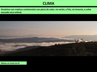 CLIMA
Oceánico con matices continentais con picos de calor, no verán, e frío, no inverno, e unha
acusada seca estival.
Néboas no Canón do Sil
 