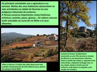 Castelo da Peroxa. Posibelmente
construído no ano 793, durante o reinado
de Alfonso II, con posteriores reformas.
Sufríu o asedio dos árabes e, segundo conta
unha lenda, o Apóstolo Santiago voou co
seu cabalo, desde o monte que hai
enfronte, onde deixou as pegadas, para
axudar aos cristiáns.
As principais actividades son a agricultura e os
servizos. Moitos dos seus habitantes desenvolven as
súas actividades na cidade de Ourense ou nos
polígonos industriais da contorna.
A Peroxa conserva importantes restos históricos
artísticos: castelos, pazos, igrexas... Os valores naturais
están asociados ao curso do río Miño e os seus
afluentes.
Vides na Peroxa. O cultivo das vides desta zona está
acollido á Denominación de Orixe Ribeira Sacra, dentro
da subzona Val do Miño.
 