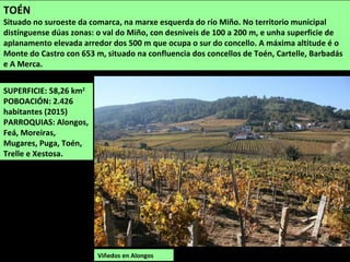 SUPERFICIE: 58,26 km2
POBOACIÓN: 2.426
habitantes (2015)
PARROQUIAS: Alongos,
Feá, Moreiras,
Mugares, Puga, Toén,
Trelle e Xestosa.
Viñedos en Alongos
TOÉN
Situado no suroeste da comarca, na marxe esquerda do río Miño. No territorio municipal
distínguense dúas zonas: o val do Miño, con desniveis de 100 a 200 m, e unha superficie de
aplanamento elevada arredor dos 500 m que ocupa o sur do concello. A máxima altitude é o
Monte do Castro con 653 m, situado na confluencia dos concellos de Toén, Cartelle, Barbadás
e A Merca.
 