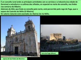 É un concello rural onde as principais actividades son os servizos e a industria (na cidade de
Ourense) a avicultura e o cultivos dos viñedos, en especial no norte do concello, nos lindes
coa comarca do Ribeiro.
Ademais do Mió, que linda co concello polo norte, está percorrido polo rego de Puga, que o
separa de Castrelo de Miño (O Ribeiro).
Os valores naturais está asociados ás ribeiras do río Miño.
Igrexa de San Pedro de Moreiras
Torre de Puga (Olivar)
 