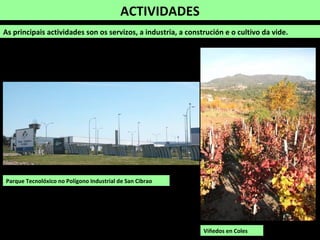 ACTIVIDADES
As principais actividades son os servizos, a industria, a construción e o cultivo da vide.
Parque Tecnolóxico no Polígono Industrial de San Cibrao
Viñedos en Coles
 