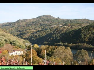 Montes de Nogueira de Ramuín
 