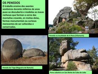 OS PENEDOS
O traballo erosivo dos axentes
xeolóxicos durante milleiros de anos
puxo ao descuberto e modelou as masas
rochosas que forman o cerne das
montañas creando, en moitas delas,
formas monumentais ou curiosas
merecentes de ser coñecidas e
conservadas.
Pena cabaleira en San Bieito da Coba do Lobo
Penedo na localidade de A Pena (Vilamarín)
Penedo do Trigo (Nogueira de Ramuín)
 