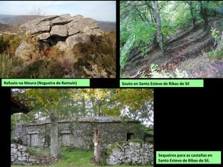 Souto en Santo Estevo de Ribas de Sil
Sequeiros para as castañas en
Santo Estevo de Ribas de Sil.
Refuxio na Moura (Nogueira de Ramuín)
 