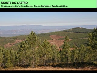 MONTE DO CASTRO
Situado entre Cartelle, A Merca, Toén e Barbadás. Acada os 635 m.
 