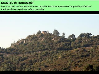 MONTES DE BARBADÁS
Nos arredores de San Bieito de Cova da Loba. No cume a pedra do Tangaraño, coñecida
tradicionalmente polo seu efecto sanador.
 