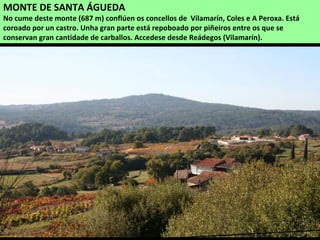 MONTE DE SANTA ÁGUEDA
No cume deste monte (687 m) conflúen os concellos de Vilamarín, Coles e A Peroxa. Está
coroado por un castro. Unha gran parte está repoboado por piñeiros entre os que se
conservan gran cantidade de carballos. Accedese desde Reádegos (Vilamarín).
 