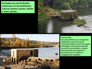 Acea de Velle.
As aceas do Miño son un exemplo de
adaptación ás forzas do río. De
construción sólida, cunha forma aguda
enfrentada á corrente para desviala
sen sofrir os seus efectos, e cuberta
plana de pedra para soportar as
enchentas que en ocasións as
asolagaban por completo.
Asociados aos cursos fluviais
consérvase un rico patrimonio
cultural: pontes e pasais, muíños
e aceas, portos...
 