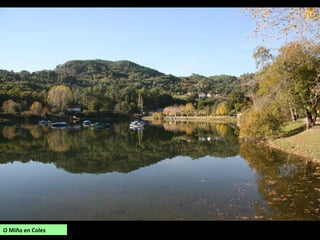O Miño en Coles
 