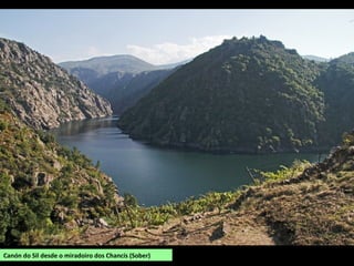 Canón do Sil desde o miradoiro dos Chancís (Sober)
 