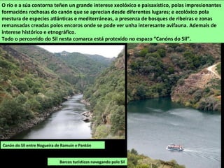 Canón do Sil entre Nogueira de Ramuín e Pantón
O río e a súa contorna teñen un grande interese xeolóxico e paisaxístico, polas impresionantes
formacións rochosas do canón que se aprecian desde diferentes lugares; e ecolóxico pola
mestura de especies atlánticas e mediterráneas, a presenza de bosques de ribeiras e zonas
remansadas creadas polos encoros onde se pode ver unha interesante avifauna. Ademais de
interese histórico e etnográfico.
Todo o percorrido do Sil nesta comarca está protexido no espazo “Canóns do Sil”.
Barcos turísticos navegando polo Sil
 