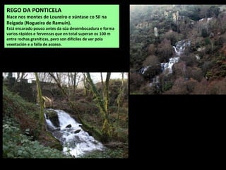 REGO DA PONTICELA
Nace nos montes de Loureiro e xúntase co Sil na
Reigada (Nogueira de Ramuín).
Está encorado pouco antes da súa desembocadura e forma
varios rápidos e fervenzas que en total superan os 100 m
entre rochas graníticas, pero son difíciles de ver pola
vexetación e a falla de acceso.
 
