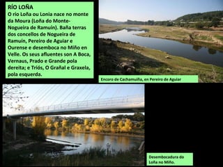 RÍO LOÑA
O río Loña ou Lonia nace no monte
da Moura (Loña do Monte-
Nogueira de Ramuín). Baña terras
dos concellos de Nogueira de
Ramuín, Pereiro de Aguiar e
Ourense e desemboca no Miño en
Velle. Os seus afluentes son A Boca,
Vernaus, Prado e Grande pola
dereita; e Triós, O Grañal e Graxela,
pola esquerda.
Desembocadura do
Loña no Miño.
Encoro de Cachamuíña, en Pereiro de Aguiar
 