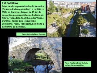Paseo do Barbaña en Ourense
RÍO BARBAÑA
Baixa desde as proximidades de Nevoeiro
(Figueroa-Paderne de Allariz) e conflúe co
Miño en Ourense, despois de 25 km de
percorrido polos concellos de Paderne de
Allariz, Taboadela, San Cibrao das Viñas e
Ourense. Recibe pola esquerda o
Cerdeiriño, Pazos, Taboadela, San Bieito e
Barbañiña ou Barbadás.
Ponte Noalla sobre o Barbaña
en San Cibrao das Viñas.
 