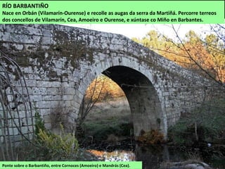 Ponte sobre o Barbantiño, entre Cornoces (Amoeiro) e Mandrás (Cea).
RÍO BARBANTIÑO
Nace en Orbán (Vilamarín-Ourense) e recolle as augas da serra da Martiñá. Percorre terreos
dos concellos de Vilamarín, Cea, Amoeiro e Ourense, e xúntase co Miño en Barbantes.
 