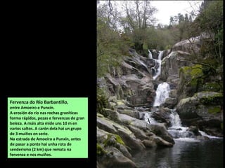 Fervenza do Río Barbantiño,
entre Amoeiro e Punxín.
A erosión do río nas rochas graníticas
forma rápidos, pozas e fervenzas de gran
beleza. A máis alta mide uns 10 m en
varios saltos. A carón dela hai un grupo
de 3 muíños en serie.
Na estrada de Amoeiro a Punxín, antes
de pasar a ponte hai unha rota de
senderismo (2 km) que remata na
fervenza e nos muíños.
 