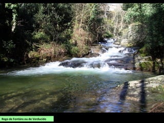 Rego de Fontáns ou de Verducido
 