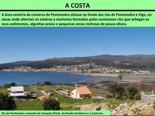 A COSTA
Ría de Pontevedra: enseada de Campelo (Poio). Ao fondo Combarro e o Castrove.
A área costeira da comarca de Pontevedra sitúase no fondo das rías de Pontevedra e Vigo, en
zonas onde alternan os esteiros e marismas formados polos numerosos ríos que achegan os
seus sedimentos, algunhas praias e pequenas zonas rochosas de pouca altura.
 