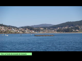 Poio, ao fondo da enseada de Campelo
 