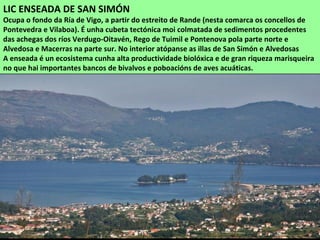 LIC ENSEADA DE SAN SIMÓN
Ocupa o fondo da Ría de Vigo, a partir do estreito de Rande (nesta comarca os concellos de
Pontevedra e Vilaboa). É unha cubeta tectónica moi colmatada de sedimentos procedentes
das achegas dos ríos Verdugo-Oitavén, Rego de Tuimil e Pontenova pola parte norte e
Alvedosa e Macerras na parte sur. No interior atópanse as illas de San Simón e Alvedosas
A enseada é un ecosistema cunha alta productividade biolóxica e de gran riqueza marisqueira
no que hai importantes bancos de bivalvos e poboacións de aves acuáticas.
 