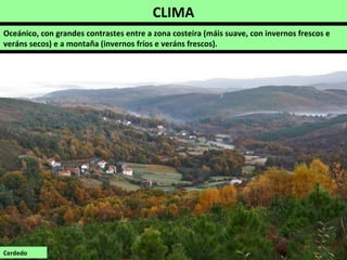 CLIMA
Cerdedo
Oceánico, con grandes contrastes entre a zona costeira (máis suave, con invernos frescos e
veráns secos) e a montaña (invernos fríos e veráns frescos).
 