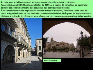 As principais actividades son os servizos, o comercio, a industria e o turismo.
Pontevedra, con 63.059 habitantes (datos de 2015), é a capital do concello e da provincia,
onde se concentran a maioría dos servizos e das actividades comerciais.
É un concello que acolle importantes valores histórico-artísticos, centrados sobre todo no
casco antigo da cidade, un dos mellores conservados de Galiza. Os lugares de interese natural
céntrase arredor do río Lérez e os seus afluentes e nos numerosos parques forestais e xardíns.
Praza da Ferrería
 