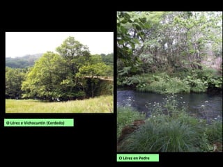 O Lérez en Pedre
O Lérez e Vichocuntín (Cerdedo)
 