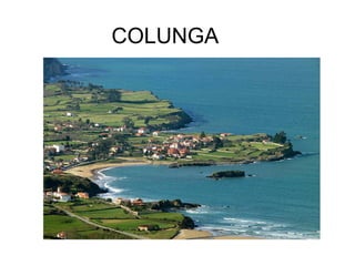 COLUNGA
 
