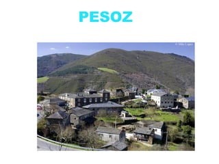 PESOZ
 
