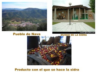 Pueblo de Nava           MUSEO DE LA SIDRA




Producto con el que se hace la sidra
 