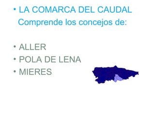 • LA COMARCA DEL CAUDAL
  Comprende los concejos de:

• ALLER
• POLA DE LENA
• MIERES
 