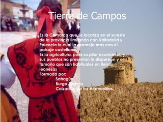 Es la Comarca que se localiza en el sureste de la provincia limitando con Valladolid y Palencia lo cual la asemeja mas con el paisaje castellano. Es la agricultura, pues su pilar económico y sus pueblos no presentan la dispersión y el tamaño que son habituales en tierras leonesas Formada por: Sahagún. Burgo-Ranero Calzadilla de los Hermanillos. Tierra de Campos 