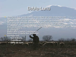 Comarca que se halla en la mitad Norte de León, lindando con Asturias y abarcando lo valles de cabecera del río Luna. Comarca de carácter ganadero, Babia gozó de fama histórica por su crianza de ganado sobre las que destacan las yeguadas. Los rebaños de merinas han sido históricos, por localizarse en sus puertos los pastos de verano que durante siglos ha encontrado aquí la trashumancia.  Se distingue : Babia-Alta (Capital Cabrillanes) Babia-Baja (Capital San Emiliano)  Formada por: San Emiliano. Cabrillanes. Sena de Luna. Babia-Luna 