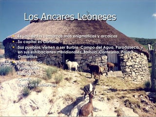 Es una de las comarcas más enigmáticas y arcaicas  Su capital es Candín. Sus pueblos, vienen a ser Burbia, Campo del Agua, Paradaseca, y en sus estribaciones meridionales: Balboa, Cantejeira, Pajarís Ovillariños. Formada por: Peranzanes Balboa Candín Vega de Espinareda Los Ancares Leoneses 