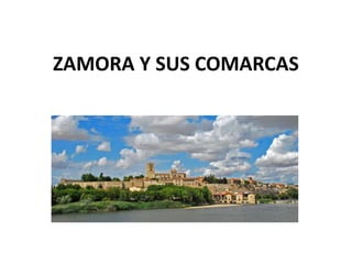 ZAMORA Y SUS COMARCAS
 