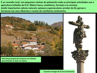 Vista da parroquia de Lumeares cos viñedos
aproveitando as abas na solaina.
É un concello rural, con pequenos núcleos de poboación onde as principais actividades son a
agricultura (viñedos da D.O. Ribeira Sacra, castiñeiros, forraxe) e os servizos.
Acolle importantes valores naturais: paisaxes espectaculares arredor do Sil, gorxas e
fervenzas nos seus afluentes e soutos de castiñeiros centenarios.
Cruceiro no lugar de A Cruz (Lumeares)
 